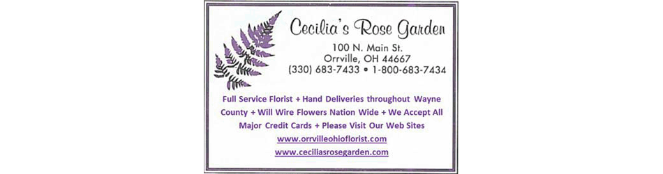 Cecilias Rose title=